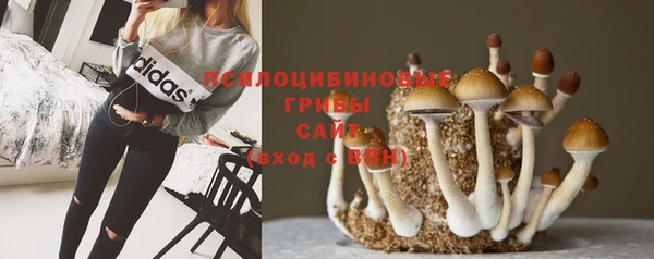 соль курить ск Киреевск
