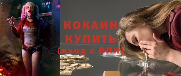 дживик Кинешма