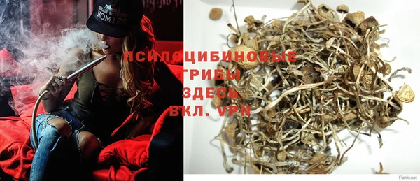 дживик Кинешма