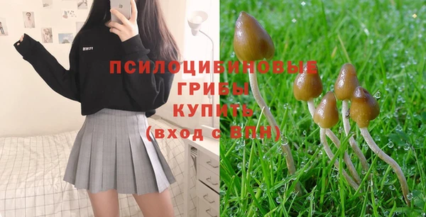 соль курить ск Киреевск