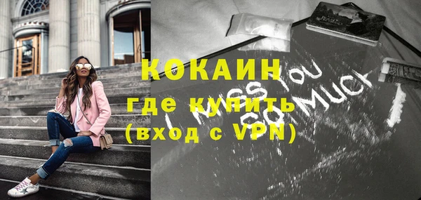 дживик Кинешма